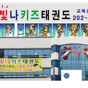 빛나태권도